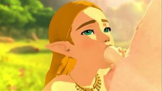 Zelda gives Blowjob in BOTW